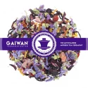 Tropical Dream - fruit infusion - GAIWAN Tea No. 1180
