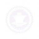 Organic loose leaf green tea "Shimizu (Japan)"  - GAIWAN® Tea No. 1372
