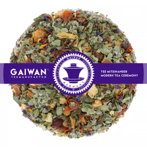 Herbal tea loose leaf "Sporty Fruits"  - GAIWAN® Tea No. 1261
