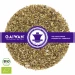 Organic herbal tea loose leaf "Elder"  - GAIWAN® Tea No. 1185