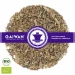 Organic herbal tea loose leaf "Masala Classic"  - GAIWAN® Tea No. 1420